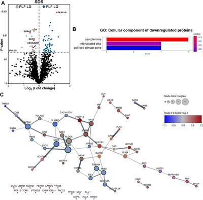 Cellular and extracellular proteomic profiling of paradoxical low-flow low-gradient aortic stenosis myocardium